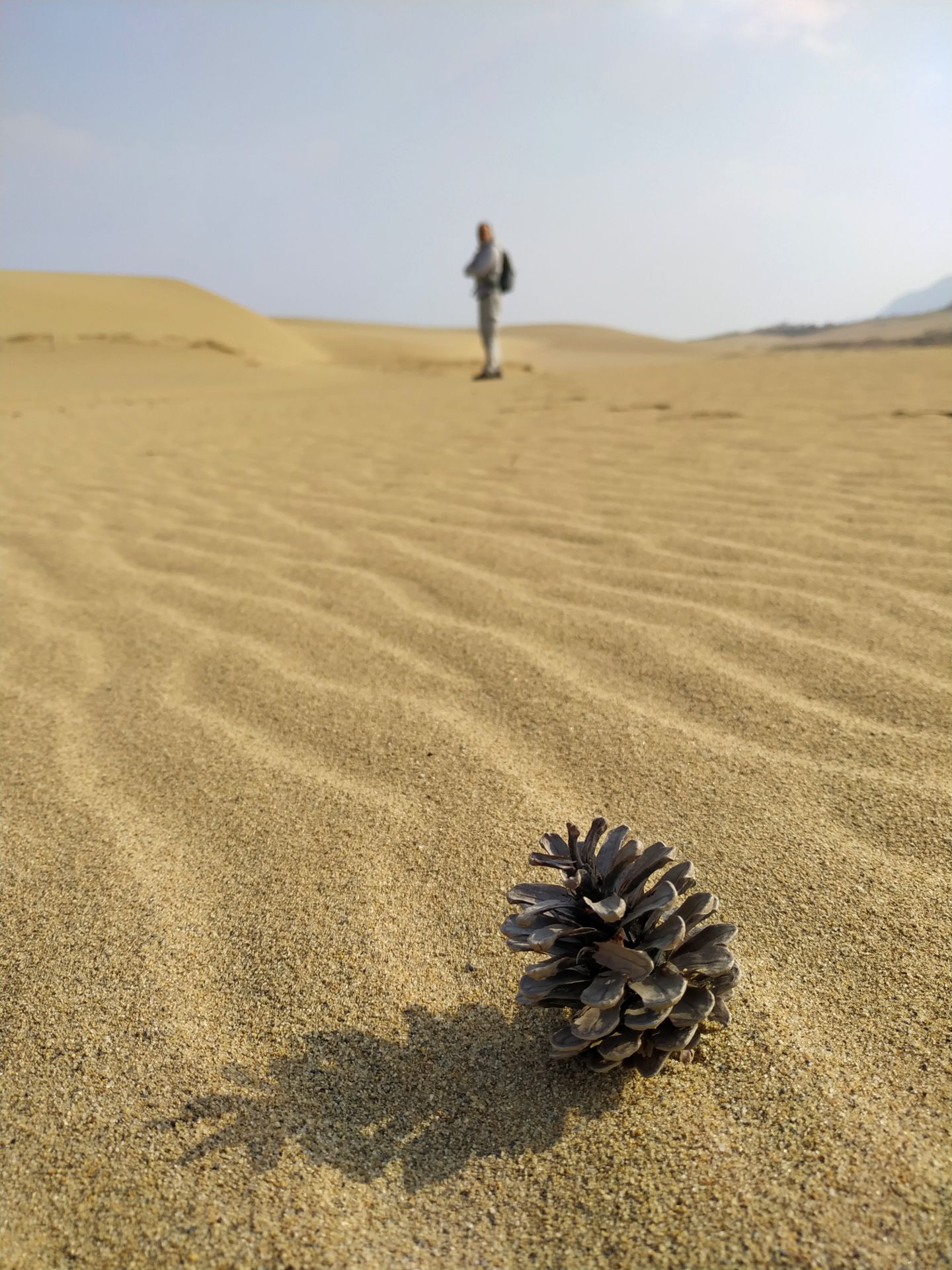 Lost in Travels - Tottori Sand Dunes